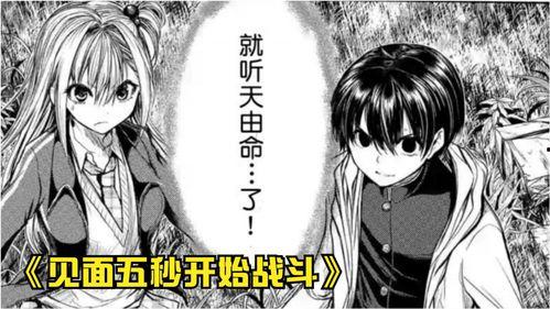 见面5秒开始战斗,初见即燃的激情对决